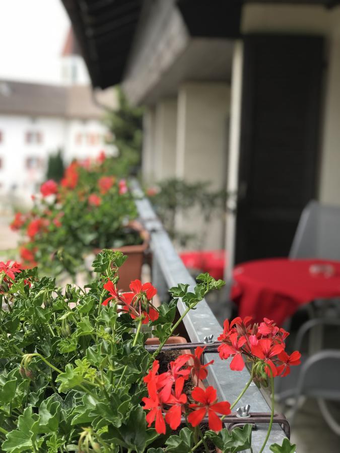 Bed And Breakfast Krone Schellenberg Εξωτερικό φωτογραφία